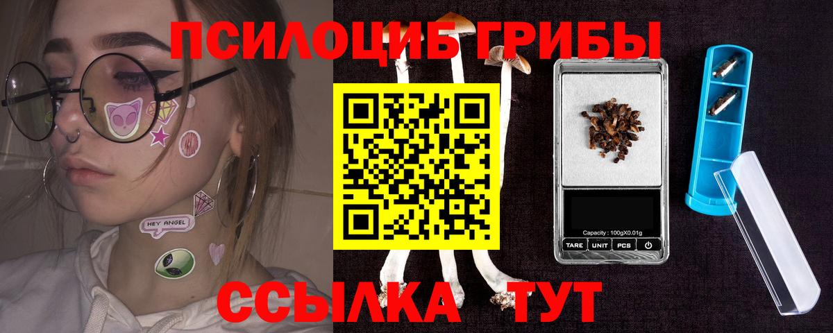 Дзержинский  Галлюциногенные грибы Magic Shrooms  Вход с VPN  магазин  наркотиков  Псилоцибиновые грибы прущие грибы 